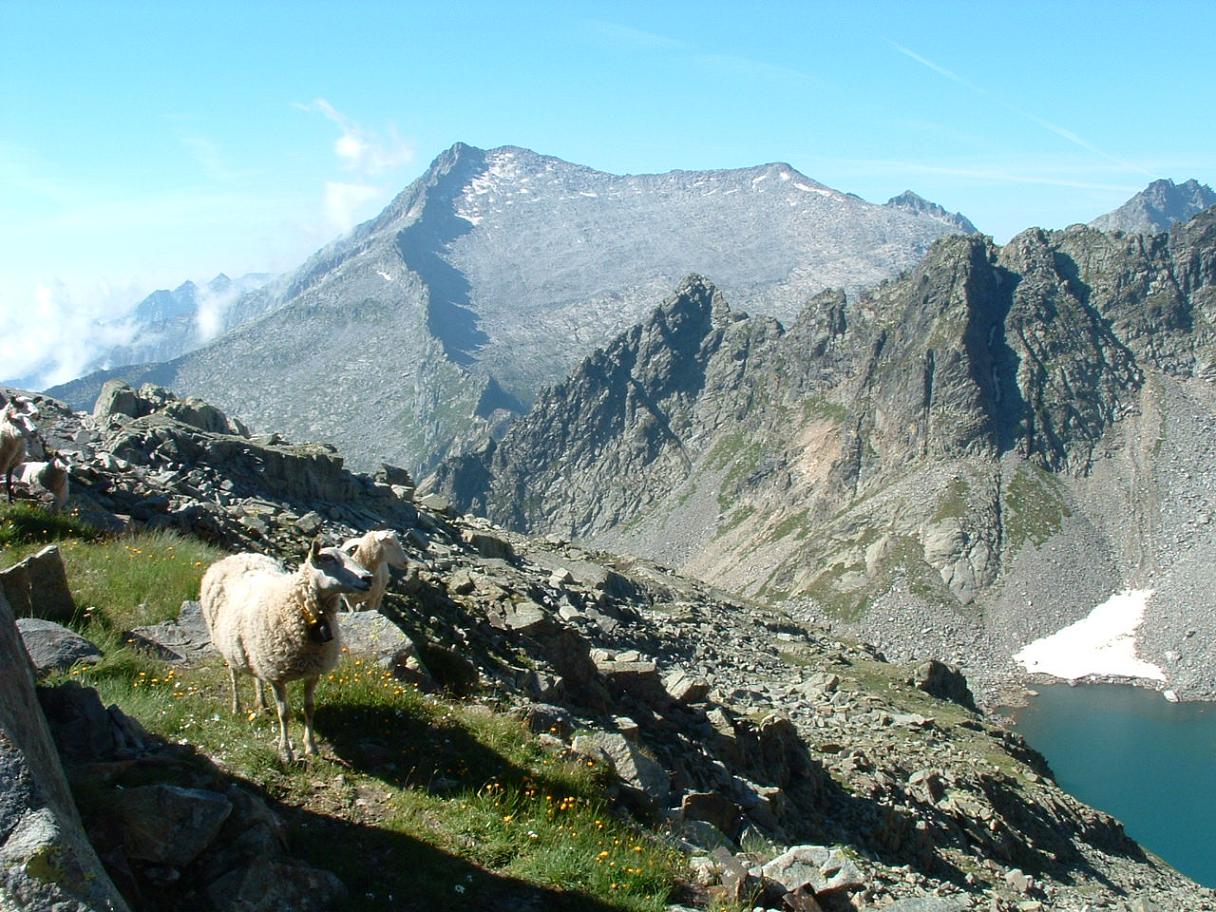 Laghi.......del TRENTINO